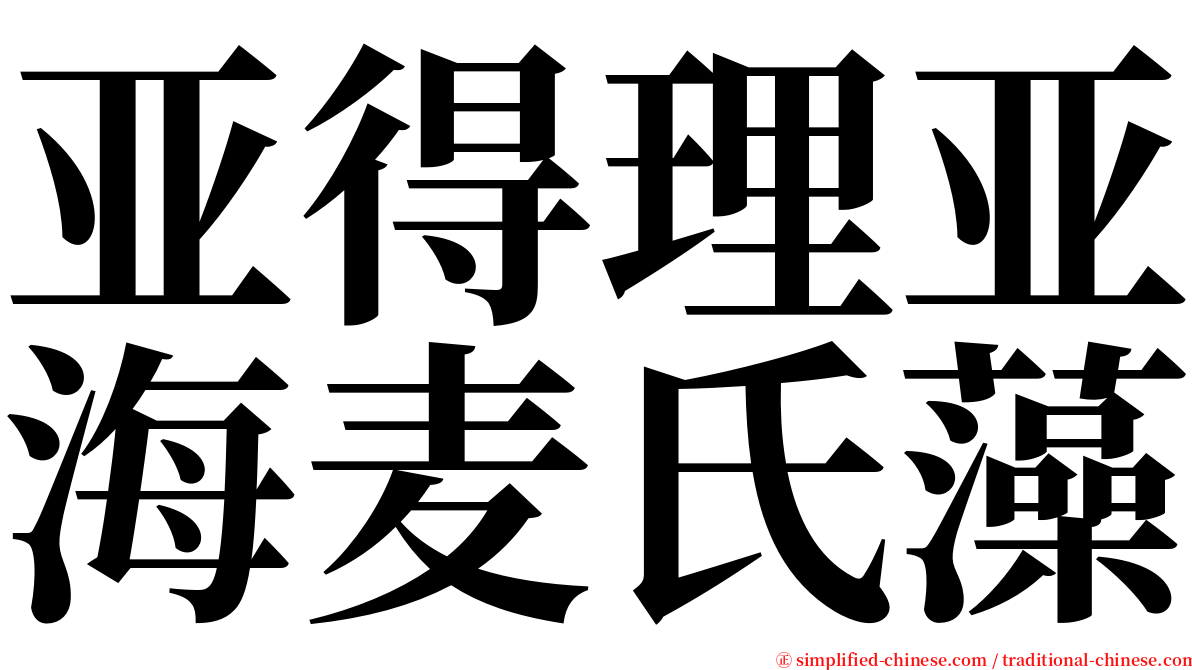 亚得理亚海麦氏藻 serif font