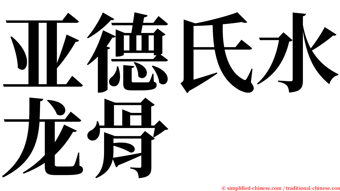 亚德氏水龙骨 serif font