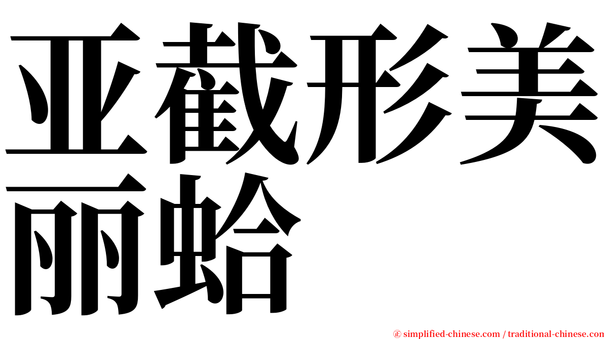 亚截形美丽蛤 serif font