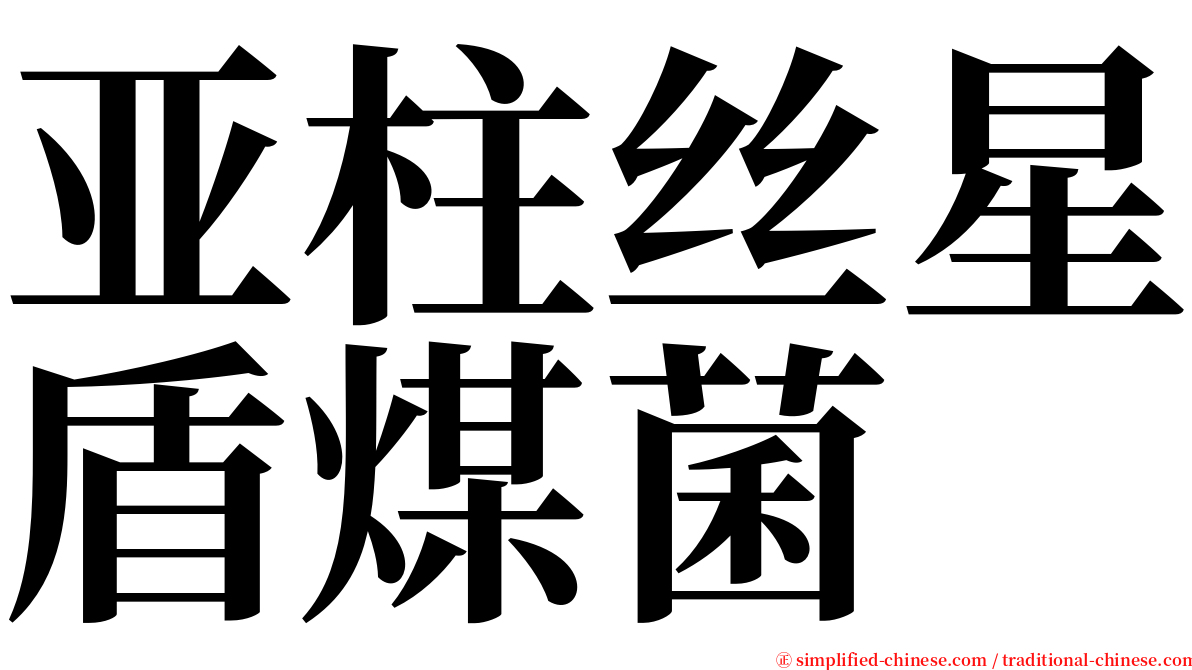 亚柱丝星盾煤菌 serif font