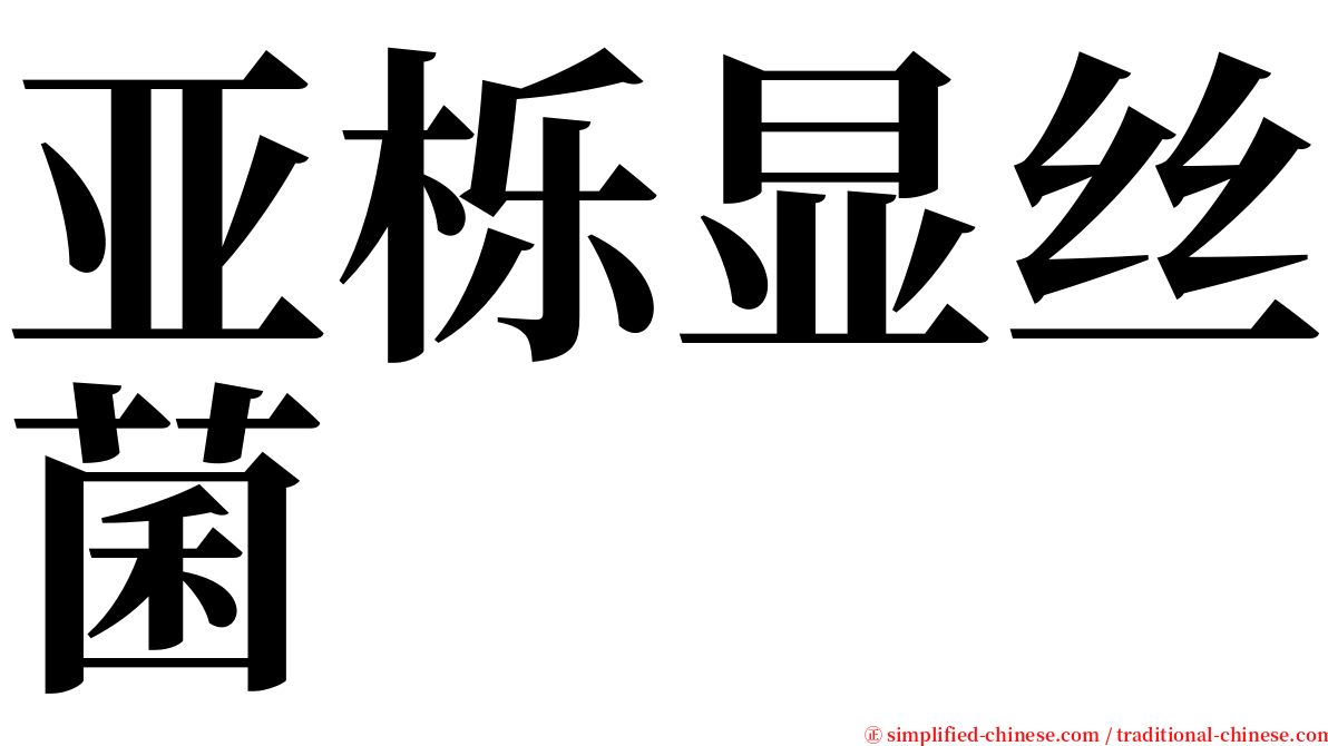 亚栎显丝菌 serif font