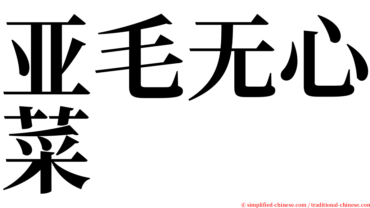 亚毛无心菜 serif font