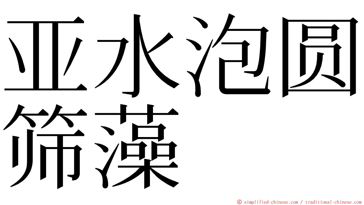 亚水泡圆筛藻 ming font