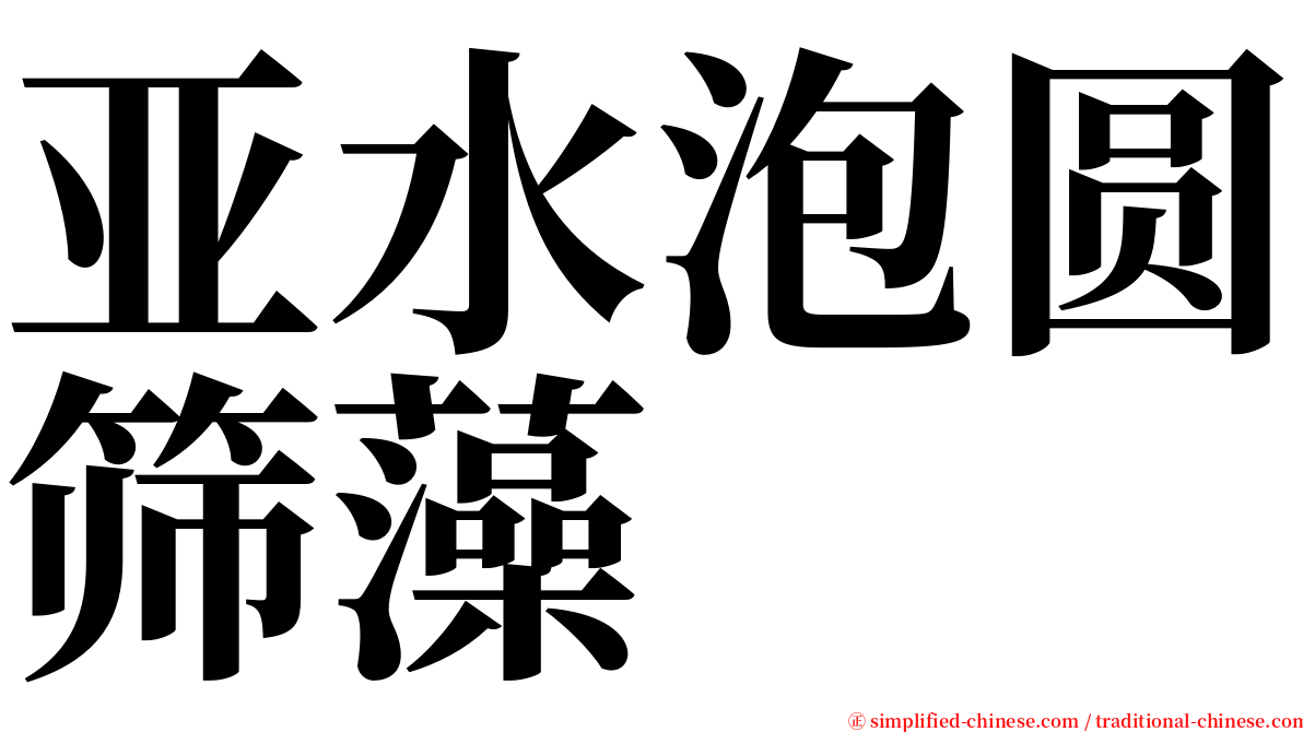 亚水泡圆筛藻 serif font