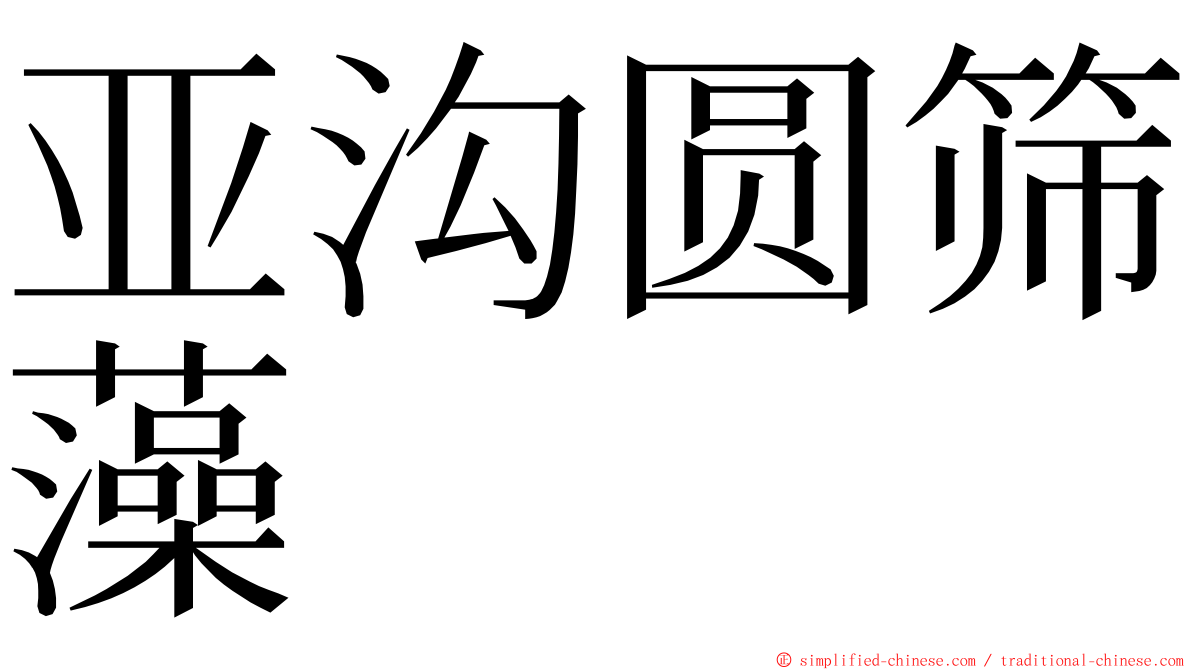 亚沟圆筛藻 ming font