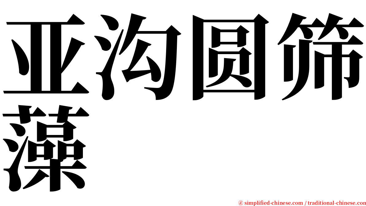 亚沟圆筛藻 serif font