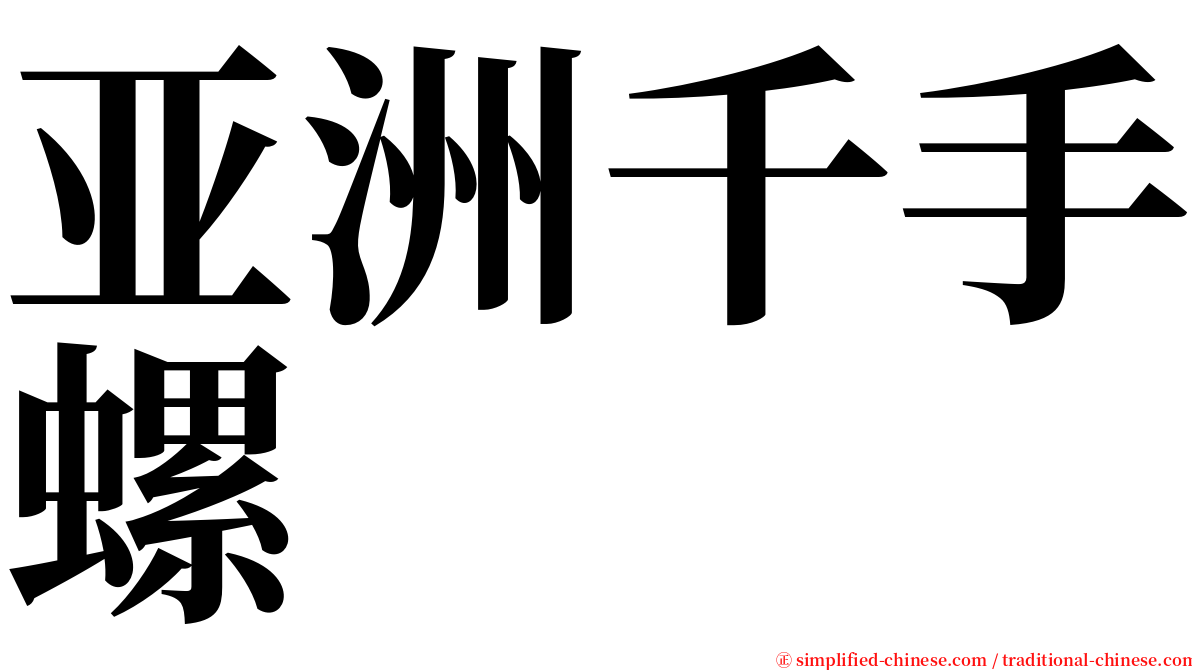 亚洲千手螺 serif font