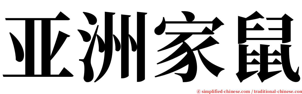 亚洲家鼠 serif font