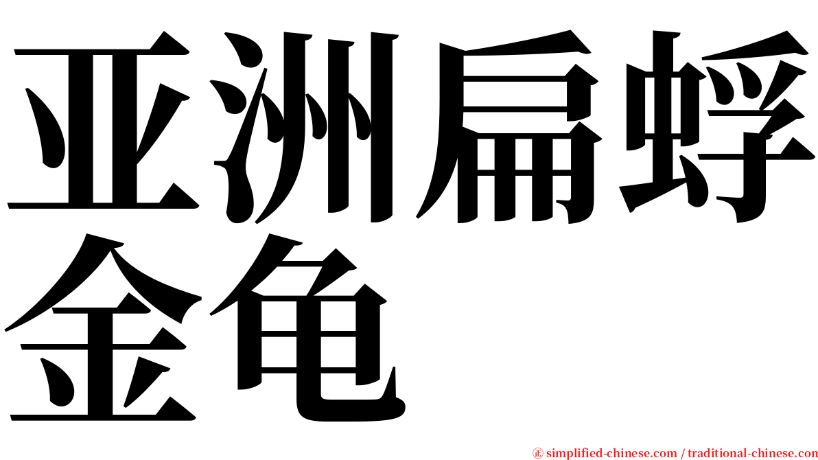 亚洲扁蜉金龟 serif font