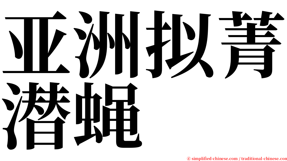 亚洲拟菁潜蝇 serif font