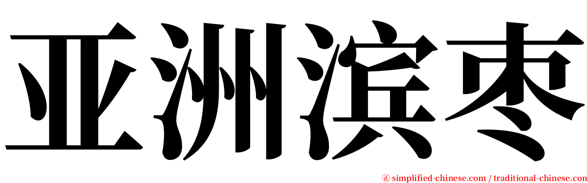 亚洲滨枣 serif font