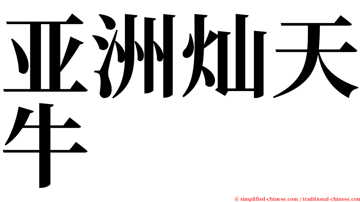 亚洲灿天牛 serif font