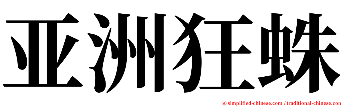 亚洲狂蛛 serif font