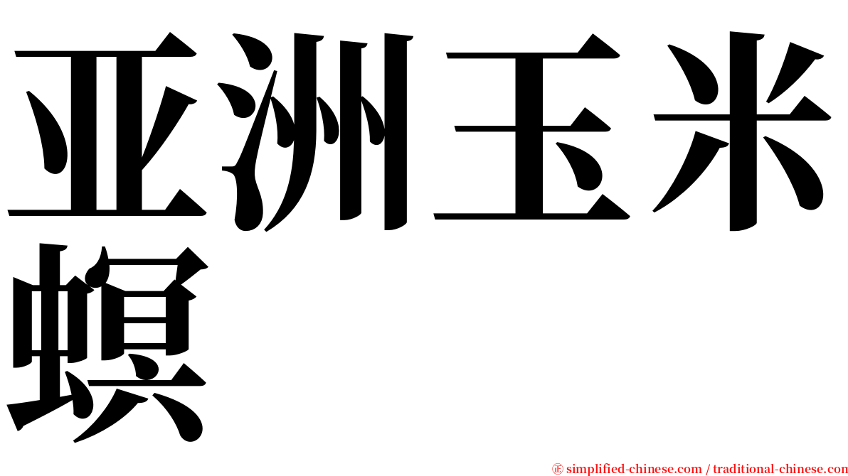 亚洲玉米螟 serif font