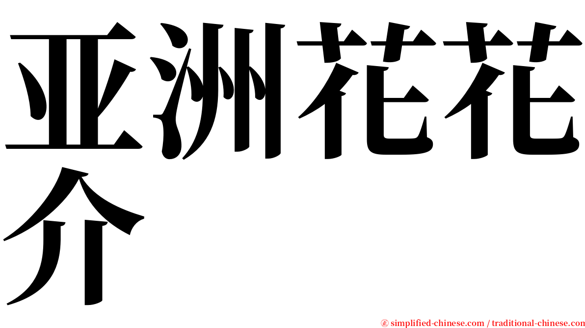 亚洲花花介 serif font