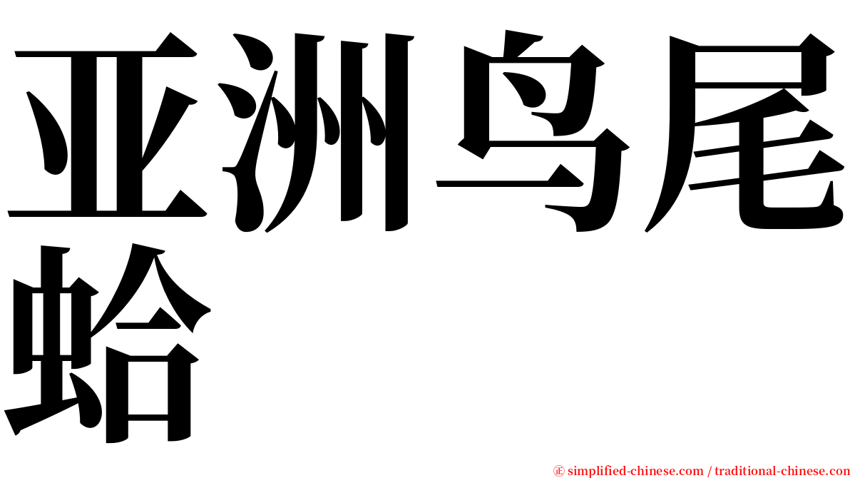 亚洲鸟尾蛤 serif font