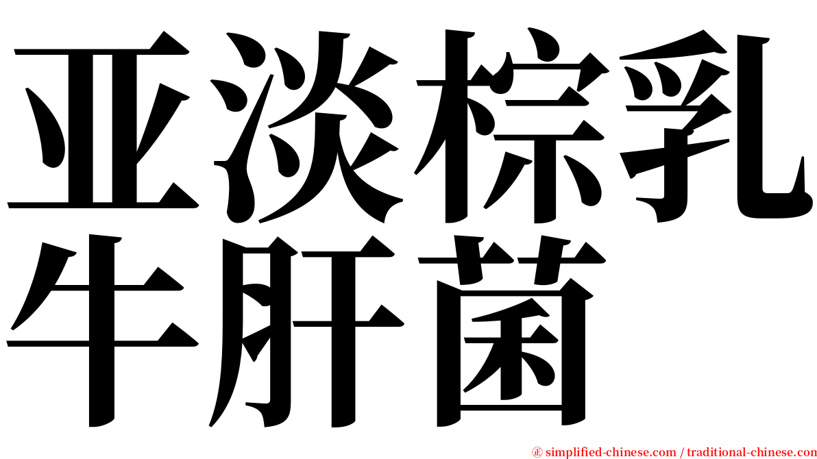 亚淡棕乳牛肝菌 serif font