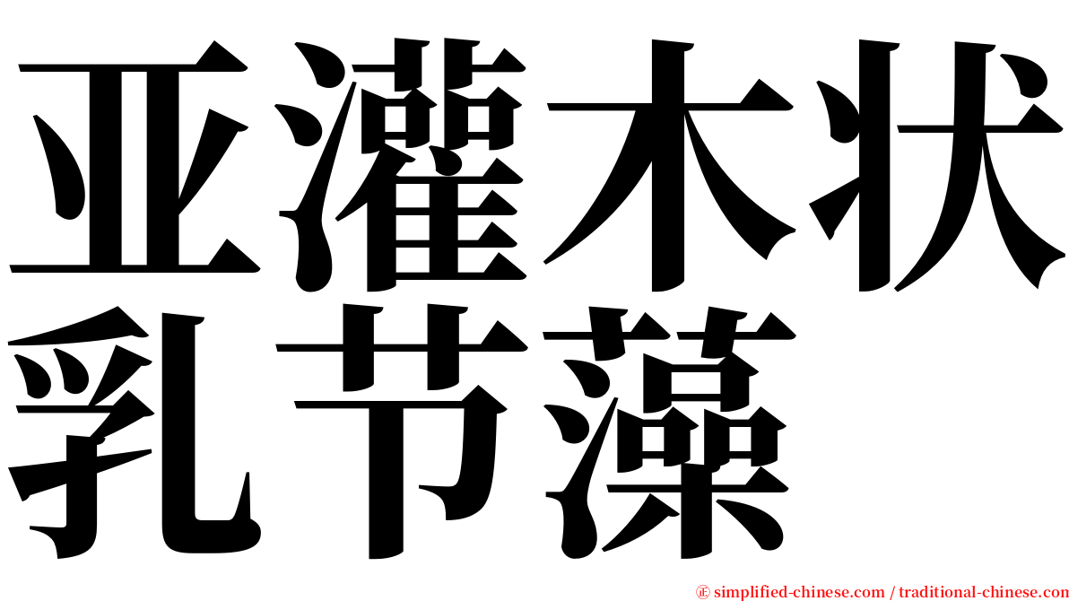 亚灌木状乳节藻 serif font