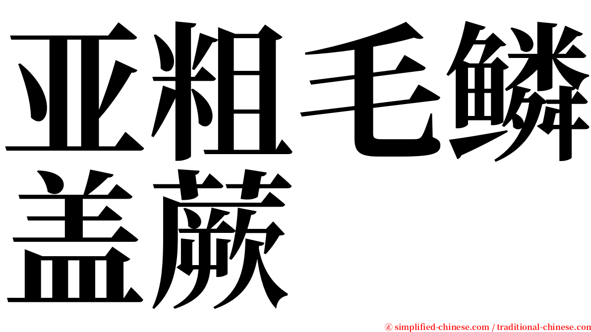 亚粗毛鳞盖蕨 serif font