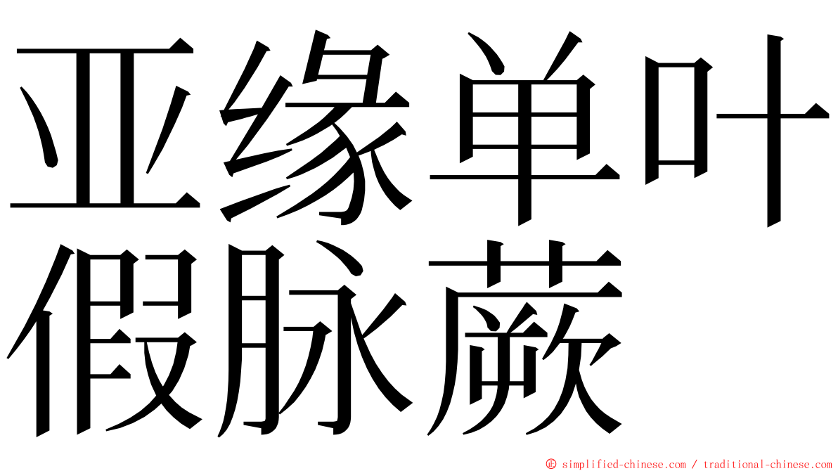 亚缘单叶假脉蕨 ming font