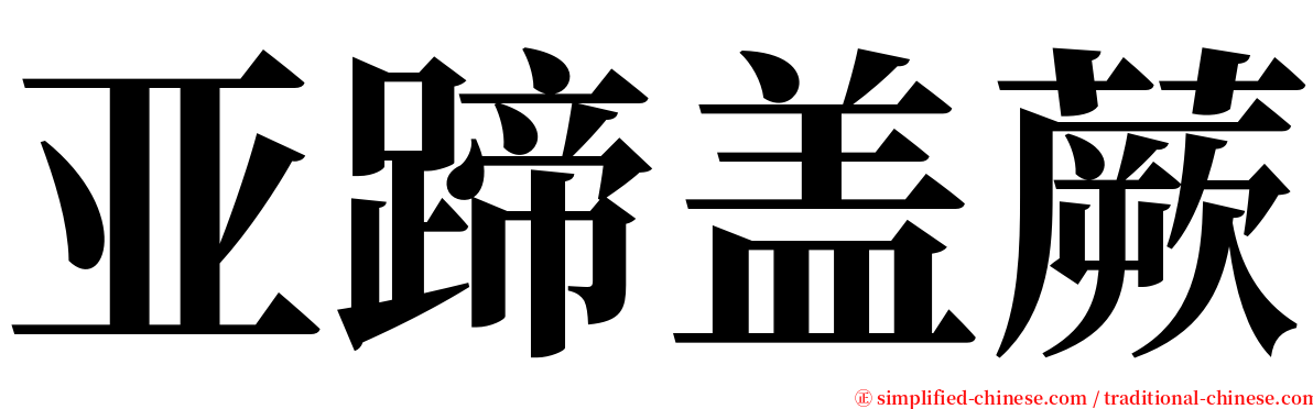 亚蹄盖蕨 serif font