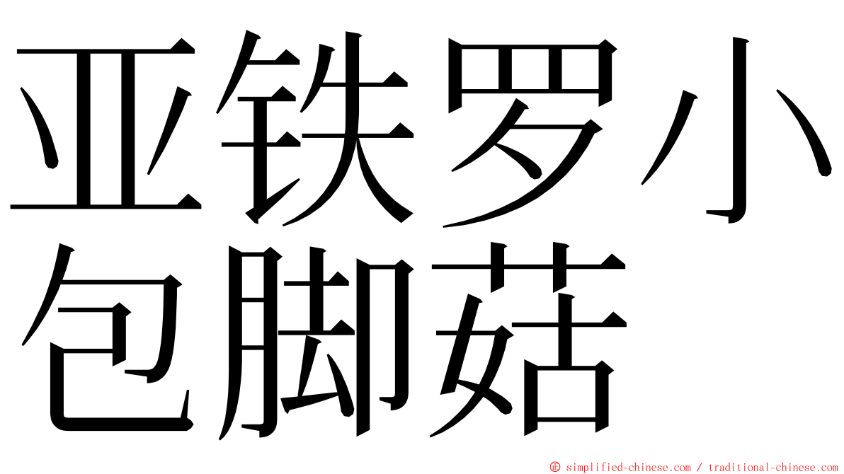 亚铁罗小包脚菇 ming font