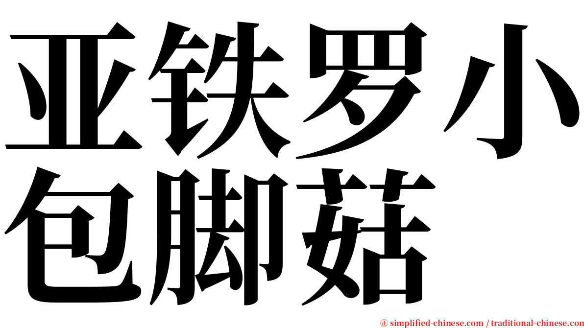 亚铁罗小包脚菇 serif font