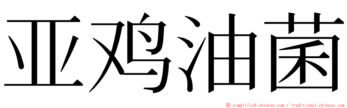 亚鸡油菌 ming font