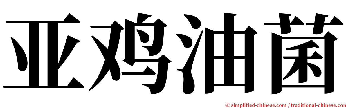 亚鸡油菌 serif font