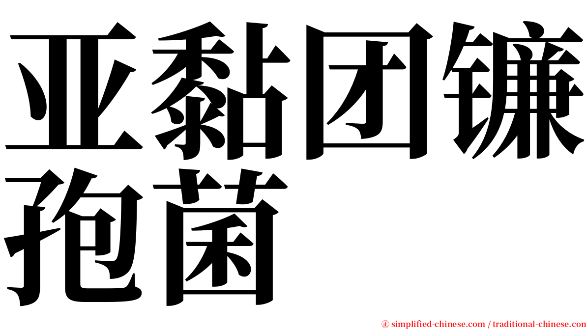 亚黏团镰孢菌 serif font