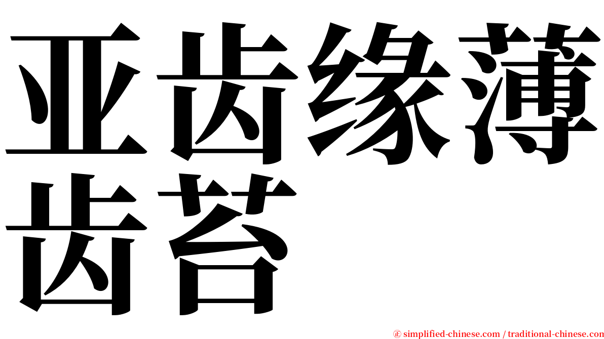 亚齿缘薄齿苔 serif font