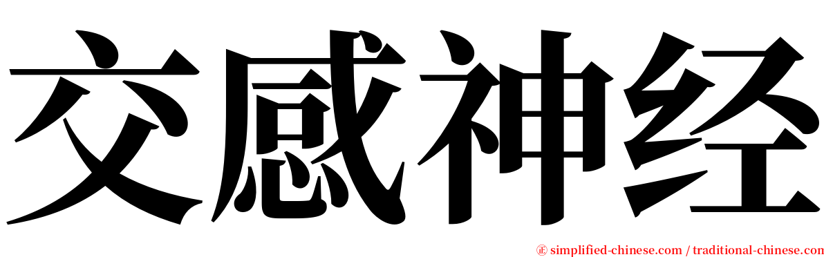 交感神经 serif font