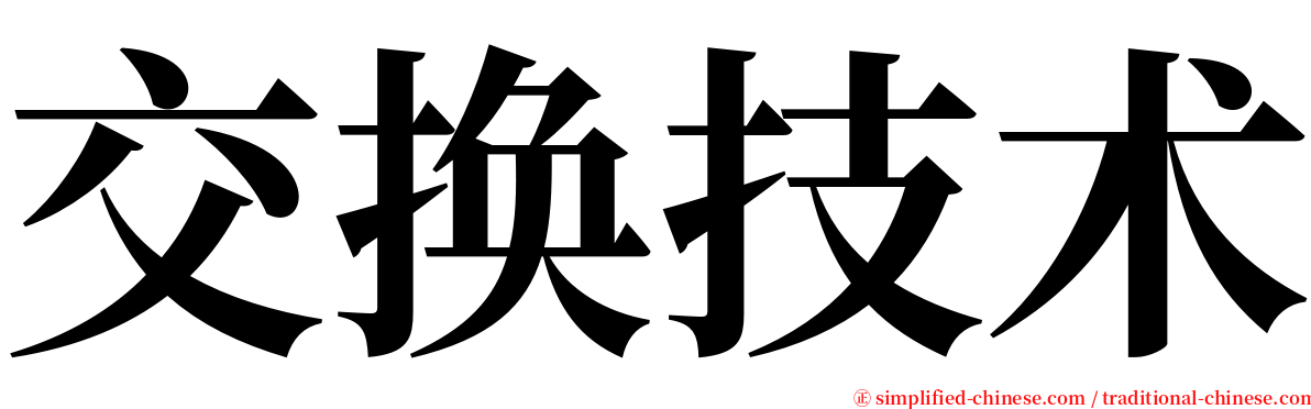 交换技术 serif font