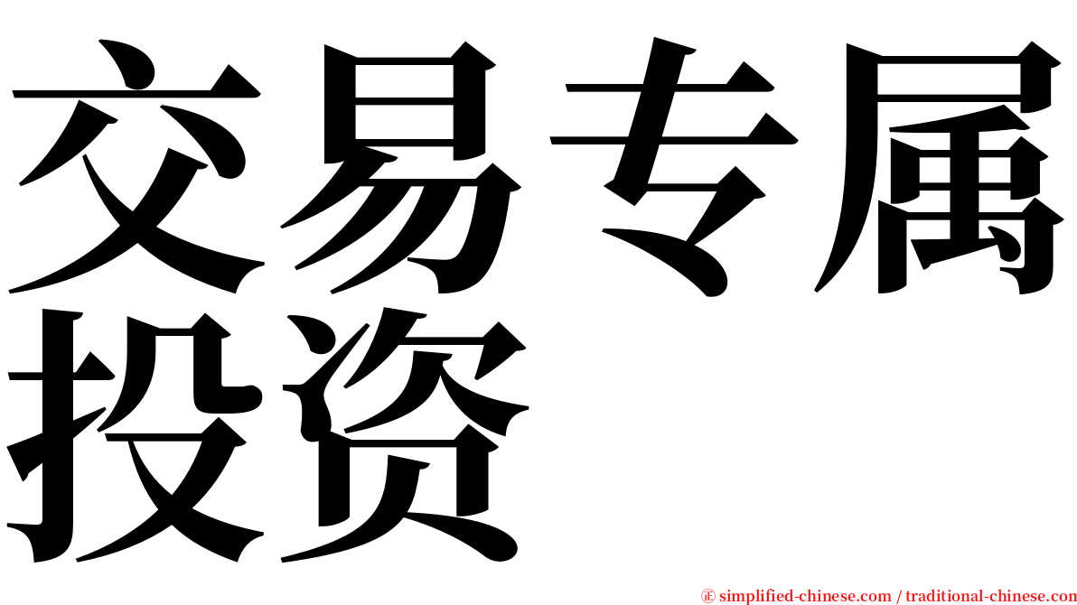 交易专属投资 serif font