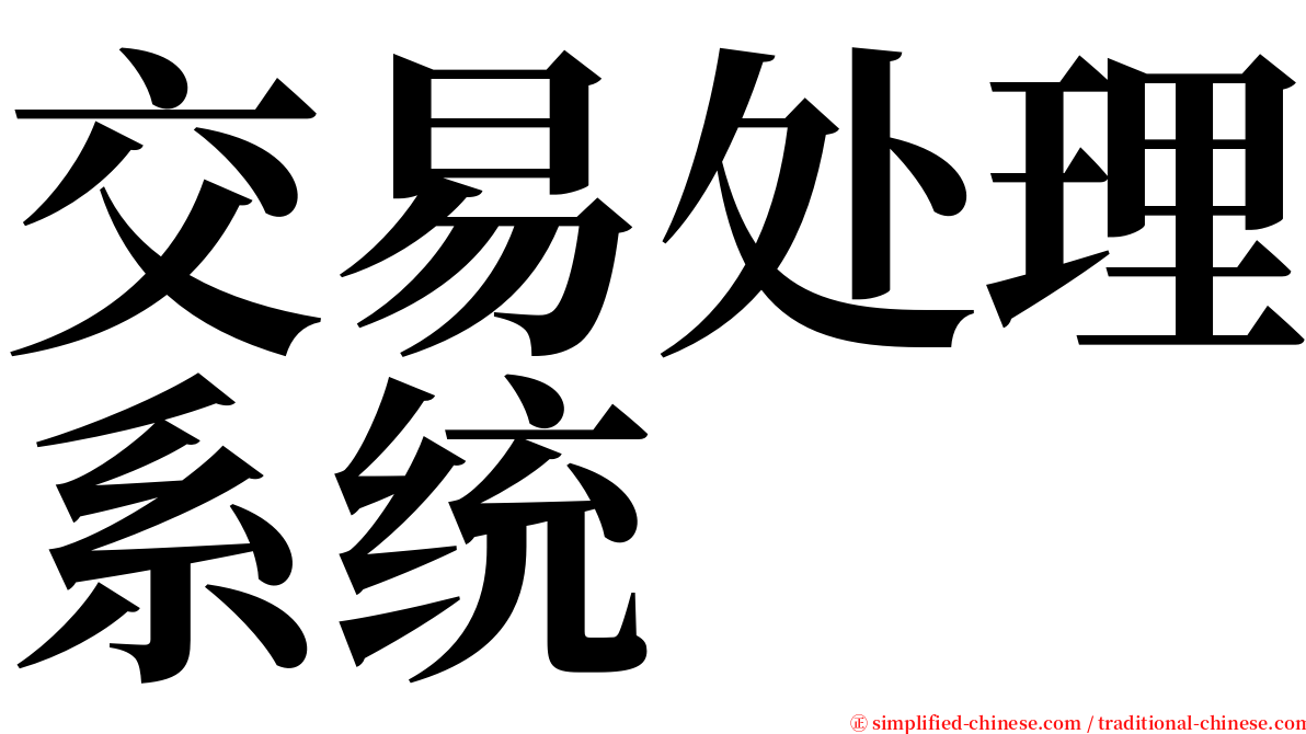 交易处理系统 serif font