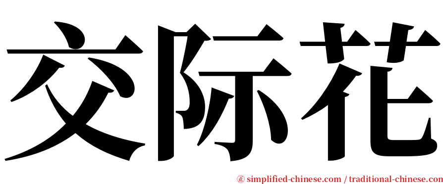 交际花 serif font