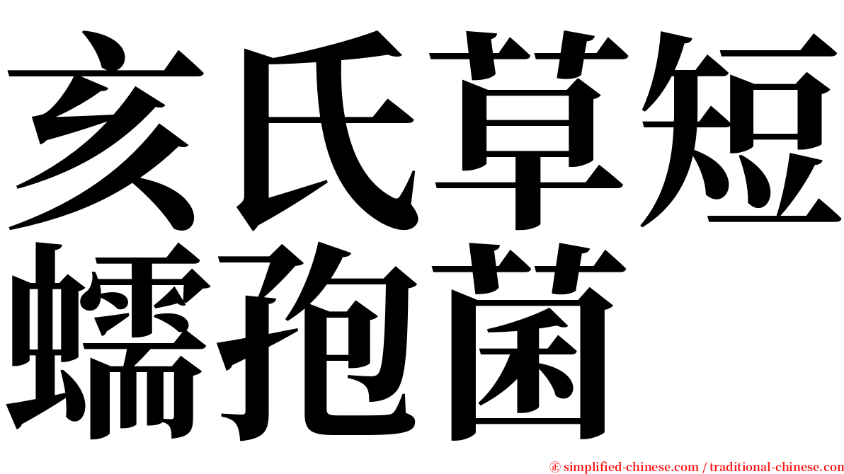 亥氏草短蠕孢菌 serif font