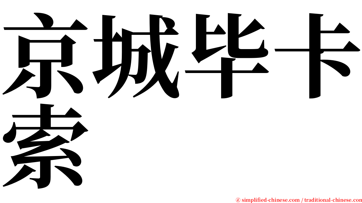 京城毕卡索 serif font