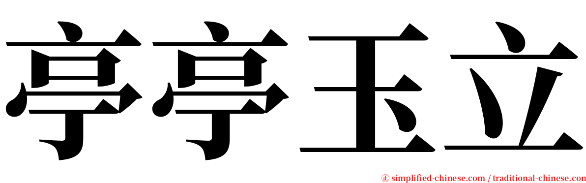 亭亭玉立 serif font