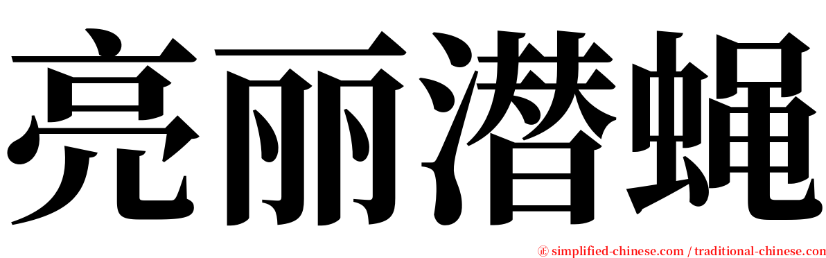 亮丽潜蝇 serif font