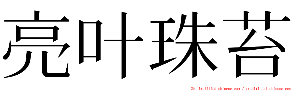 亮叶珠苔 ming font