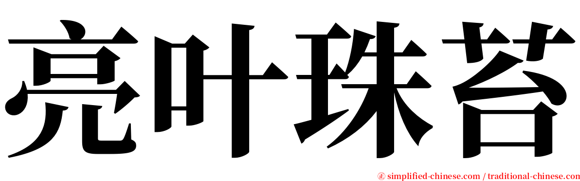 亮叶珠苔 serif font