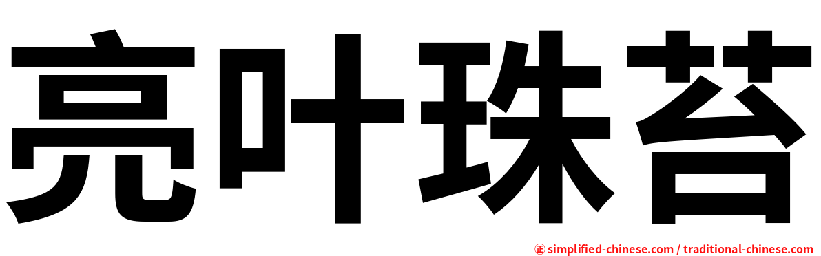 亮叶珠苔