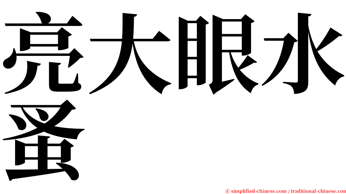 亮大眼水蚤 serif font