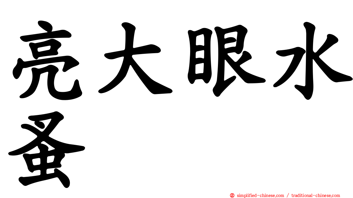 亮大眼水蚤