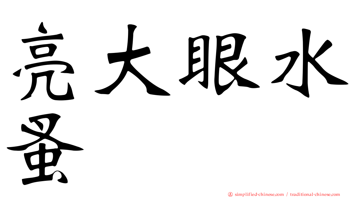 亮大眼水蚤