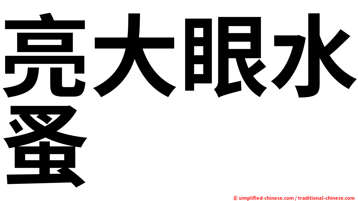 亮大眼水蚤