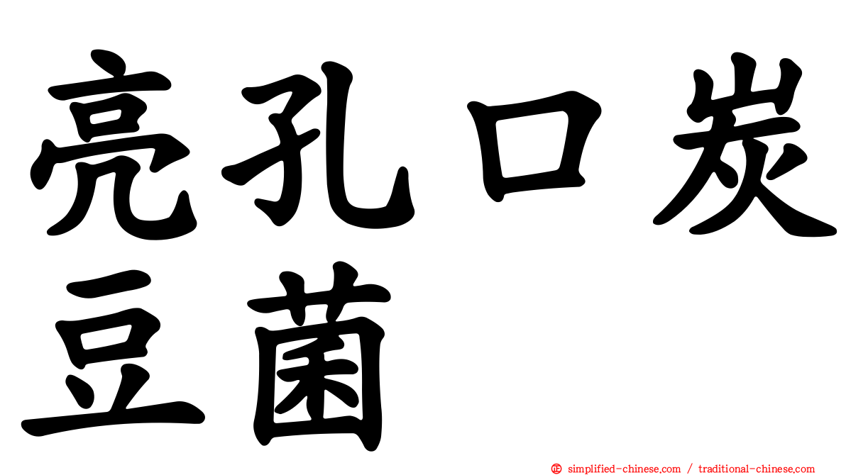 亮孔口炭豆菌