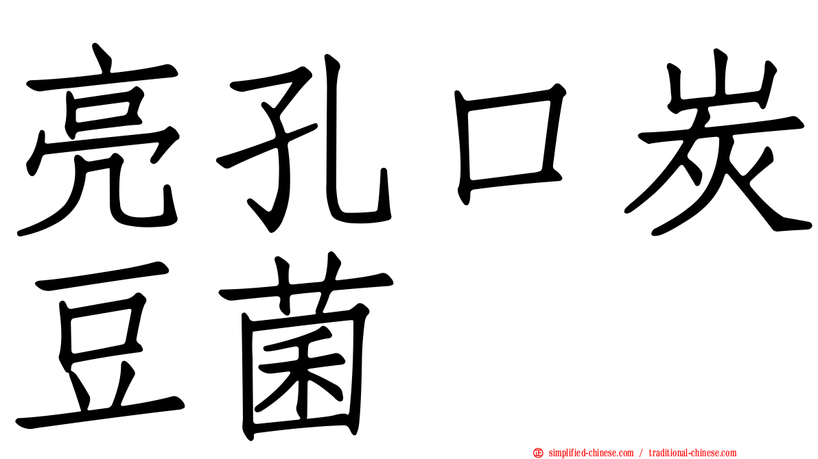 亮孔口炭豆菌