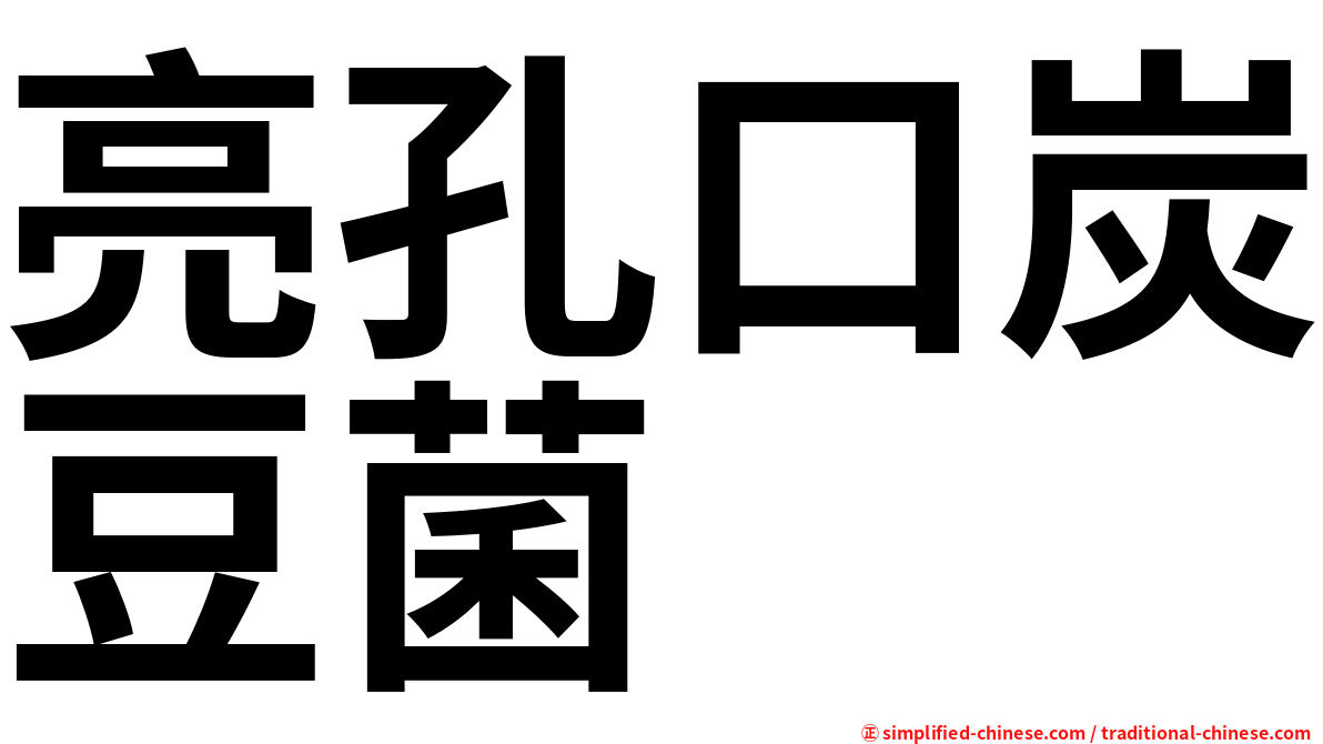 亮孔口炭豆菌